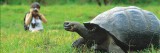 galapagos